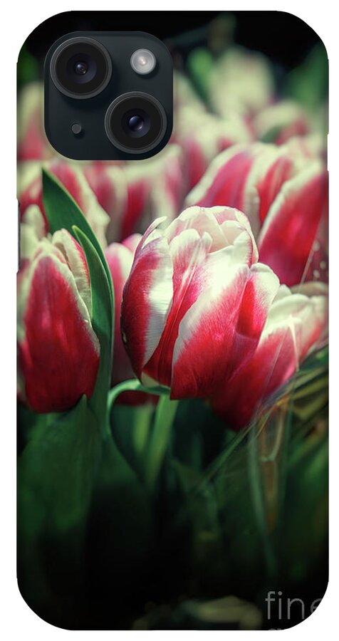 Vignette iPhone Case featuring the photograph Bouquets of pink and white tulips, with retro style processing. Romantic themed image for spring holiday events, such as Easter and Valentine's day. by Jane Rix