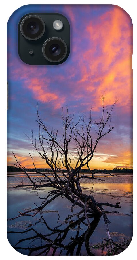 Waterscape iPhone Case featuring the photograph Branching Out by Mark Papke