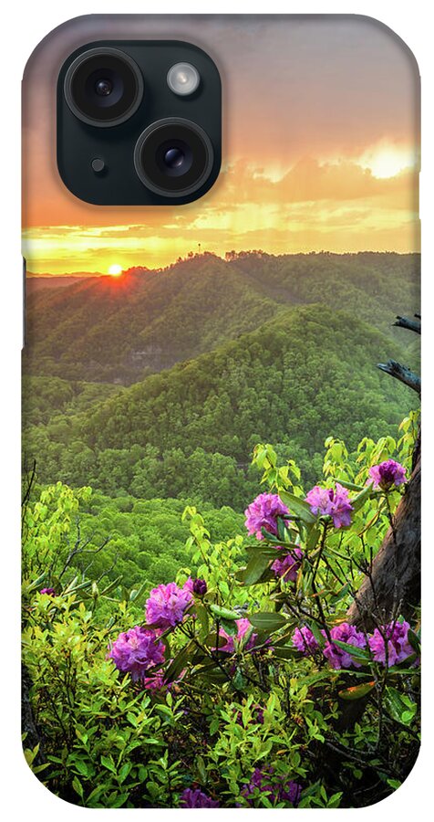 Sunset iPhone Case featuring the photograph Breaks Interstate Park KY VA Sunset Scenic Rhododendron by Robert Stephens