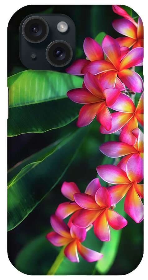 Plumerias iPhone Case featuring the photograph Brilliant and Moody Plumerias by Jade Moon
