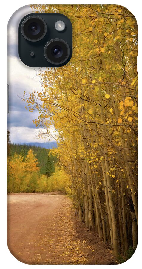 Co iPhone Case featuring the photograph Brilliant Gold by Lana Trussell