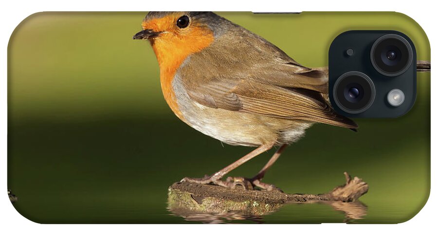 Bird iPhone Case featuring the photograph British robin redbreast close up on water by Simon Bratt