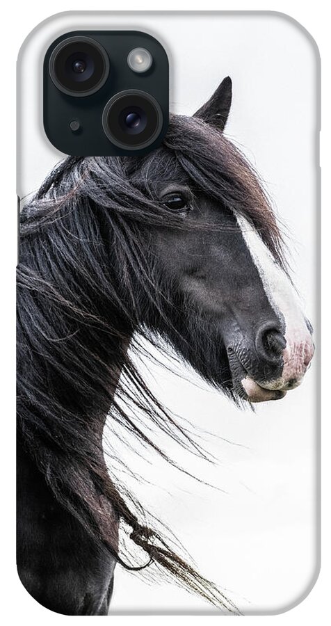 Horse iPhone Case featuring the photograph Brodie - Horse Art by Lisa Saint