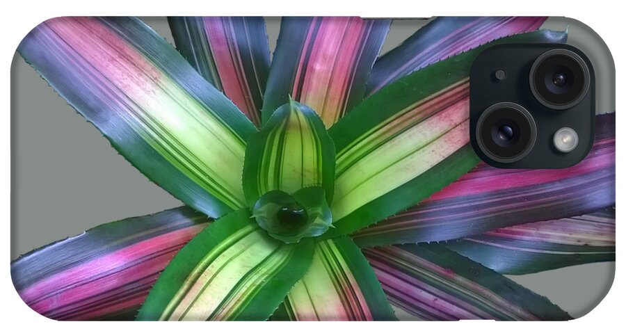 Duane Mccullough iPhone Case featuring the photograph Bromeliad Leaves Abstract Clear by Duane McCullough