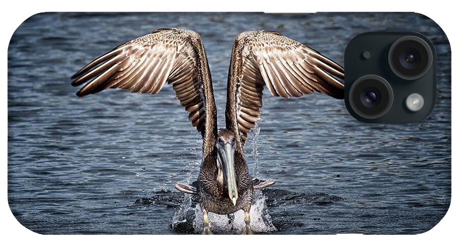 Bird iPhone Case featuring the photograph Brown Pelican Airborne by Ronald Lutz