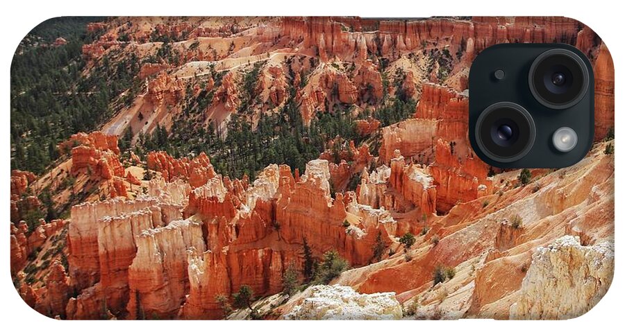 Bryce Canyon National Park iPhone Case featuring the photograph Bryce Canyon National Park by Susan Jensen