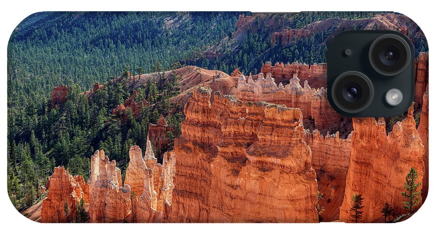 Canyon iPhone Case featuring the photograph Bryce In Color by Paul Freidlund