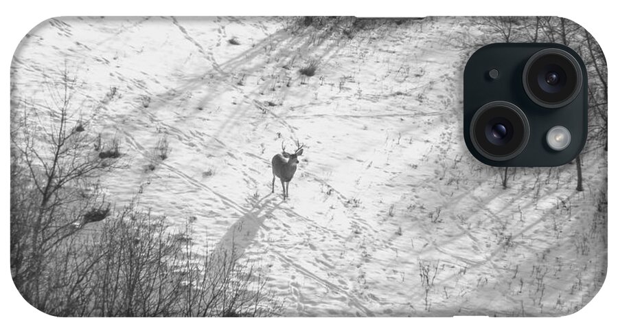 Mule Deer iPhone Case featuring the photograph Buck in the Snow by Amanda R Wright