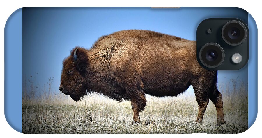 Bison iPhone Case featuring the photograph Buffalo Nickel Model by Linda Brittain