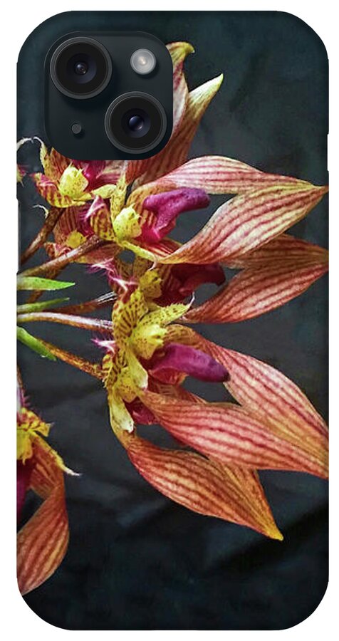 Bulbophyllum Orchid Flowers iPhone Case featuring the photograph Bulbophyllum Orchid A-Dorabil 'Candy Ann' Collage by Susan Maxwell Schmidt