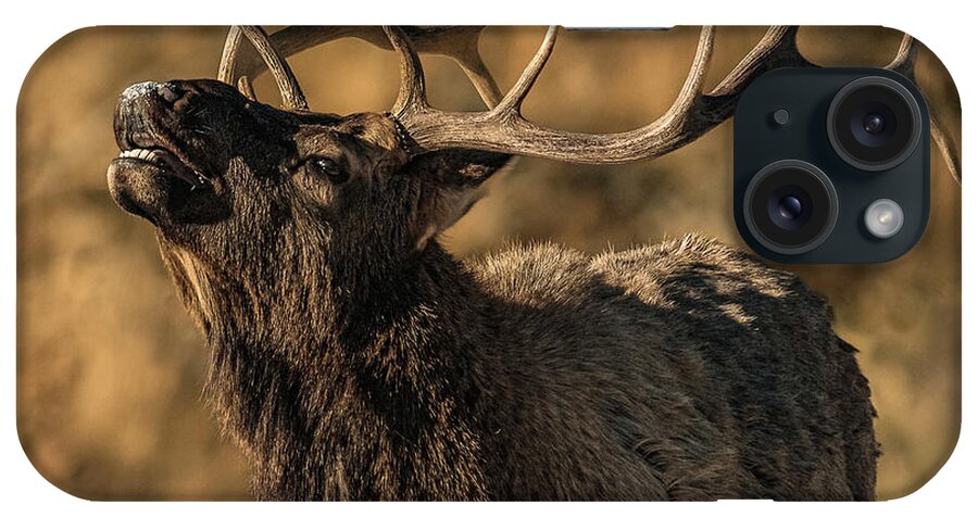 Bull Elk iPhone Case featuring the photograph Bull Elk Bugle In Fall by Yeates Photography