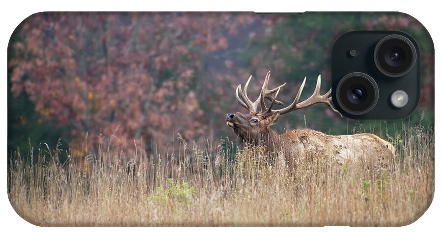 Elk iPhone Case featuring the photograph Bull Elk - Wapiti by Rehna George