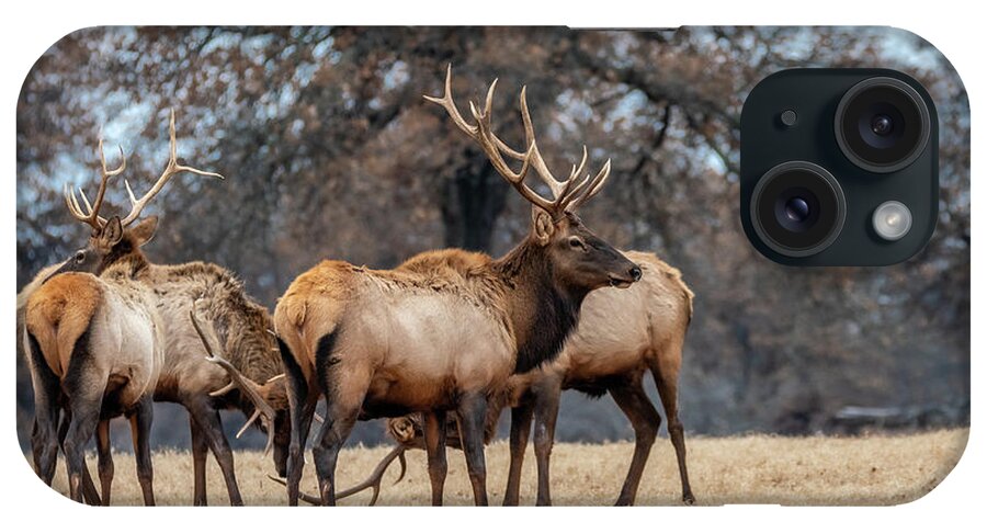 Debra Martz iPhone Case featuring the photograph Bull Elk Woolaroc Oklahoma by Debra Martz