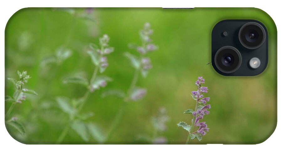 Bee iPhone Case featuring the photograph Bumble Bee Flying in a Garden by Diane Diederich