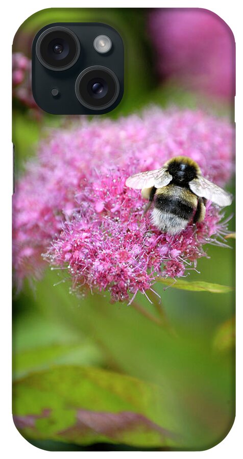 Bumblebee iPhone Case featuring the photograph Bumble bee on pink spirea by Loren Dowding