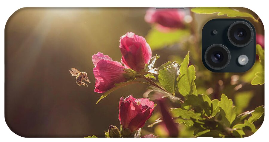 Bumblebee iPhone Case featuring the photograph Bumblebee and Rose of Sharon by Diane Diederich