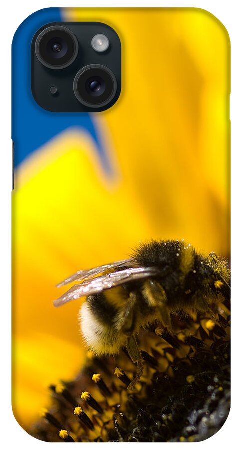 Bumblebee iPhone Case featuring the digital art Bumblebee by Geir Rosset