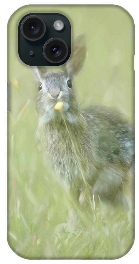 Bunny iPhone Case featuring the photograph Bunny and Dandelion by Marjorie Whitley