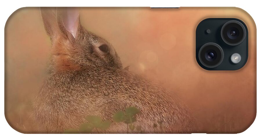 Bunnies iPhone Case featuring the photograph Bunny in Evening Sunlight by Marjorie Whitley