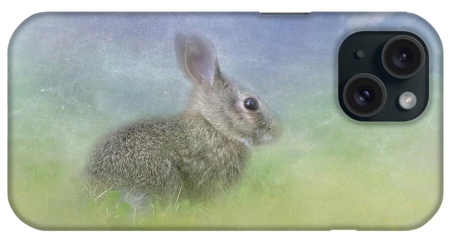 Bunnies iPhone Case featuring the photograph Bunny in the Grass by Marjorie Whitley