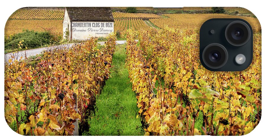 Burgundy iPhone Case featuring the photograph Burgundy Vineyard by Craig A Walker