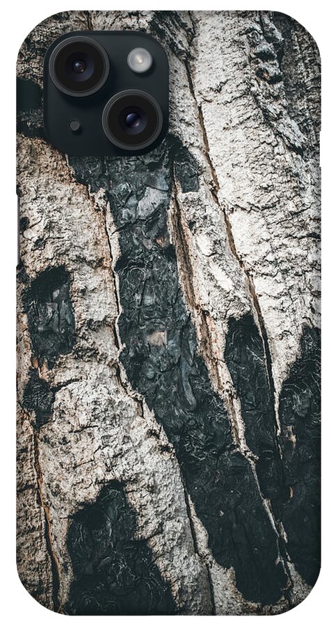 Tree Bark iPhone Case featuring the photograph Burnt Bark by Kevin Schwalbe