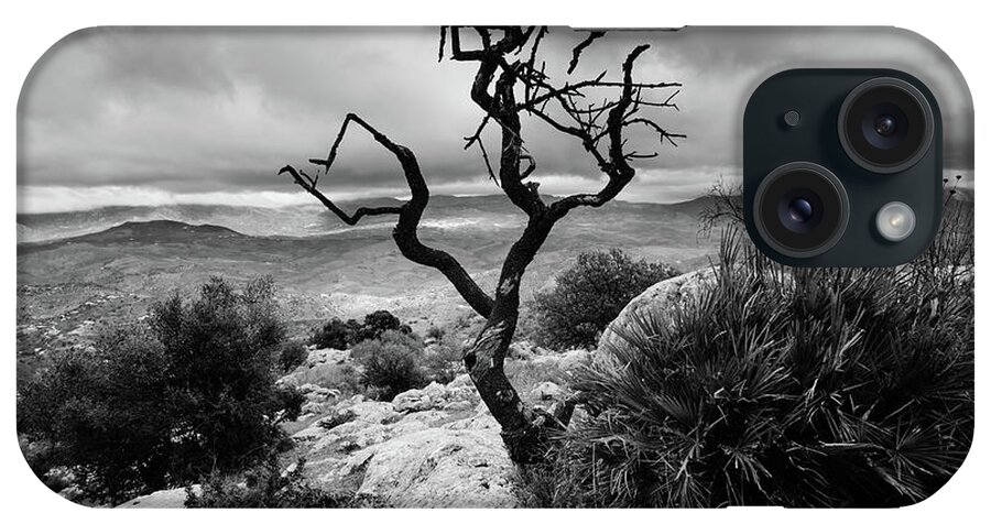 Tree iPhone Case featuring the photograph Burnt tree by Gary Browne