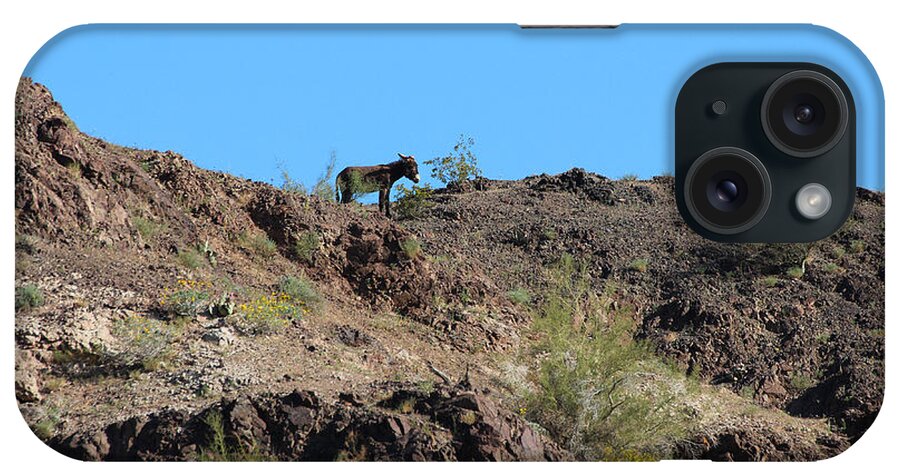 Burro iPhone Case featuring the photograph Burro on the Hill by Doug Gist