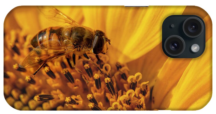 2021-08-14 iPhone Case featuring the photograph Busy Bee by Phil And Karen Rispin