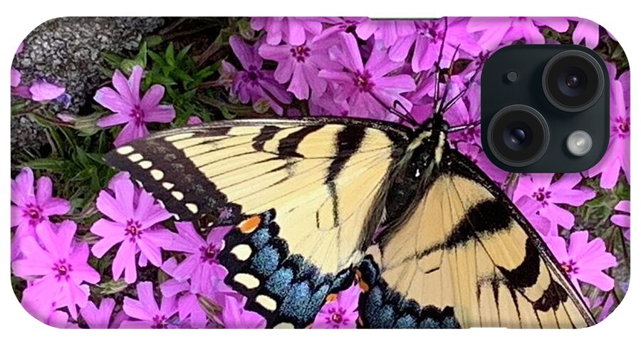 Butterfly iPhone Case featuring the photograph Butterfly Blue by Catherine Wilson
