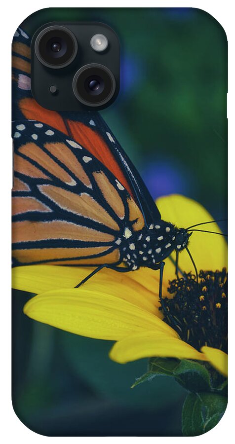 Mountain iPhone Case featuring the photograph Butterfly Flower by Go and Flow Photos