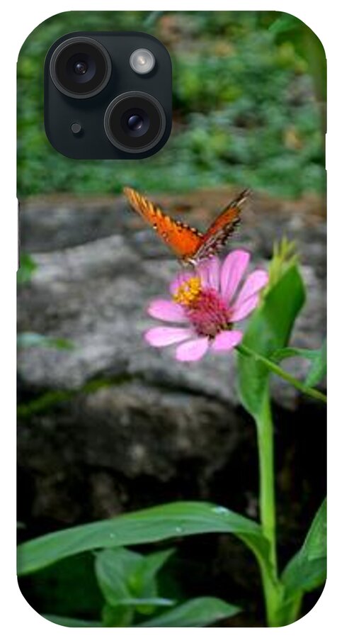 Butterfly Photograph iPhone Case featuring the photograph Butterfly Garden by Expressions By Stephanie
