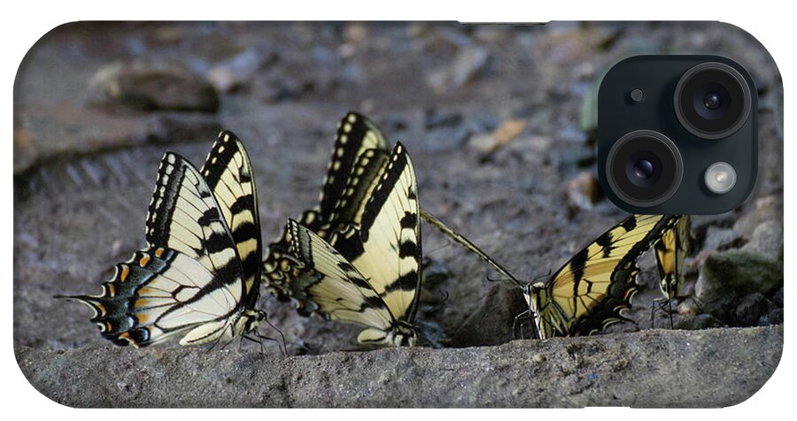 Butterflies iPhone Case featuring the photograph Butterfly Nation Swallowtail Butterflies II by Demetrai Johnson