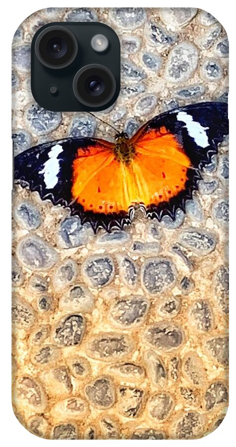 Texture iPhone Case featuring the photograph Butterfly on Stone by Wendy Golden