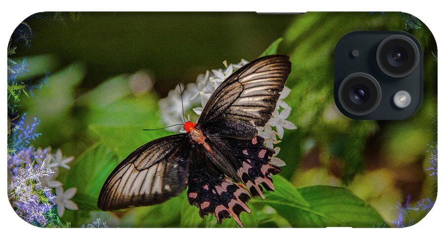 Face Mask iPhone Case featuring the photograph Butterfly with borders by Patricia Dennis