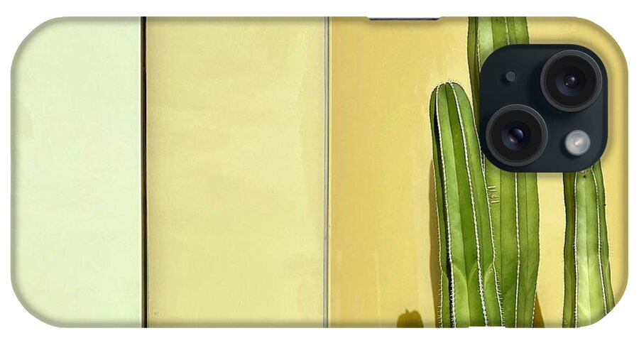  iPhone Case featuring the photograph Cactus by Julie Gebhardt