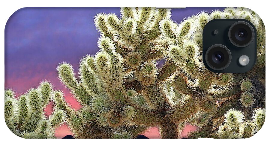 Cactus iPhone Case featuring the photograph Cactus Sunset in Palm Springs by Russ Harris