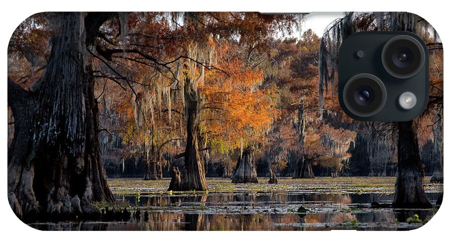  iPhone Case featuring the photograph Caddo Lake State Park - Texas by William Rainey