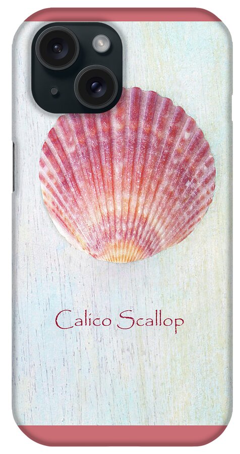 Seashells iPhone Case featuring the photograph Calico In Pink by Kathi Mirto