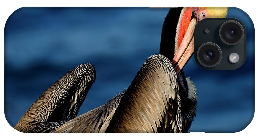 Pelican iPhone Case featuring the photograph California Morning Blue by John F Tsumas