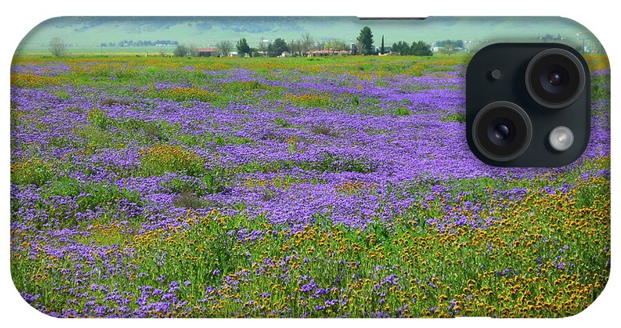 California Wildflowers iPhone Case featuring the photograph California Super Bloom - Fiddlenecks and Blue Dicks by Ram Vasudev