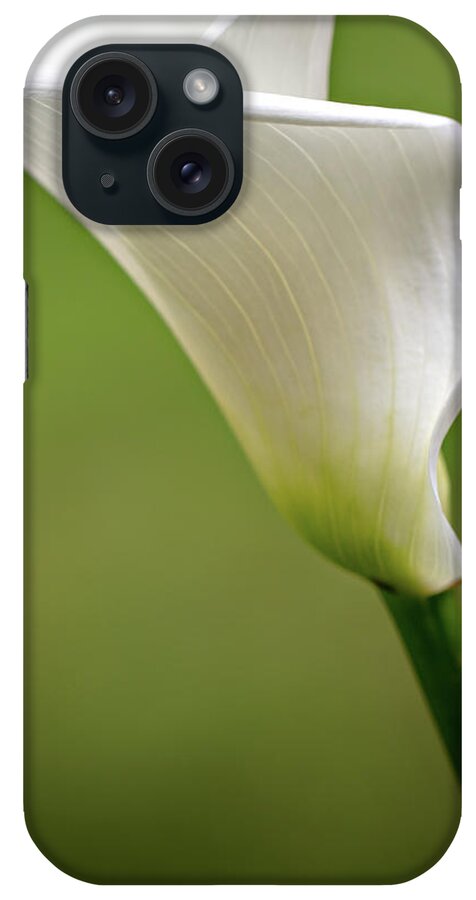  iPhone Case featuring the photograph Calla by Mary Jo Allen