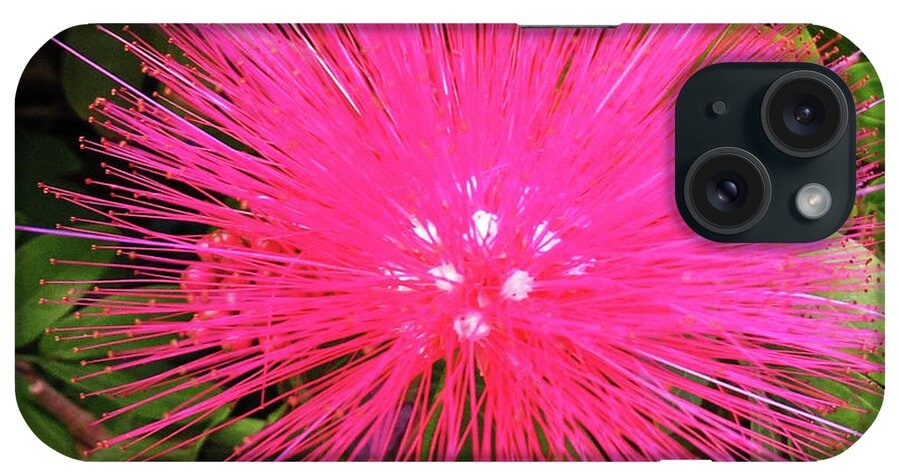 Calliandra iPhone Case featuring the photograph Calliandra Powder Puff 1 by Randall Weidner