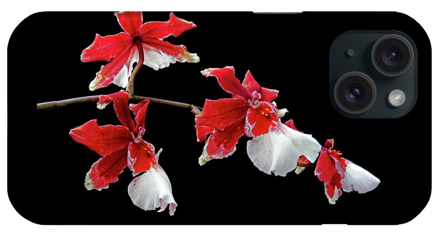 Orchids iPhone Case featuring the photograph Cambria Orchid by Jessica Jenney