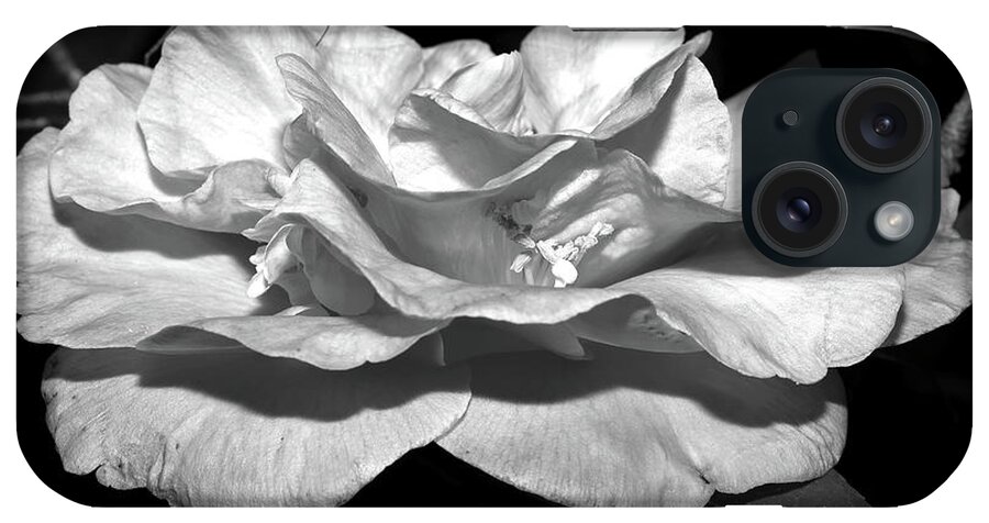 Camellia iPhone Case featuring the photograph Camellia in Black and White II by Mingming Jiang