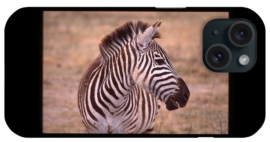 Africa iPhone Case featuring the photograph Camera Shy Zebra by Russel Considine