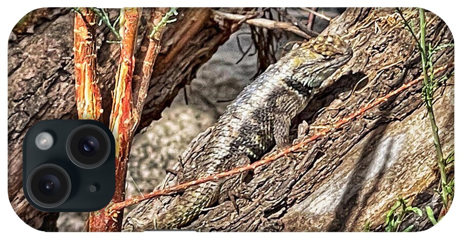 Lizard iPhone Case featuring the photograph Camouflage by Barbara Zahno