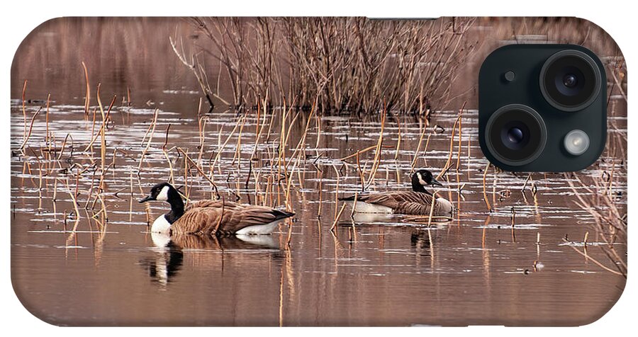 Canadian Geese iPhone Case featuring the photograph Canadian Geese On A Pond 2 by Flees Photos