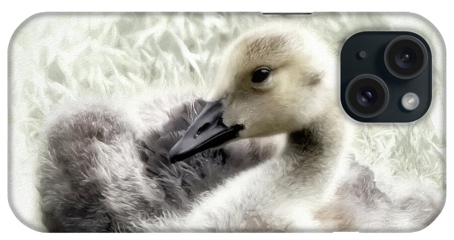 Bird iPhone Case featuring the photograph Canadian Geese Series 4 by Darlene Kwiatkowski