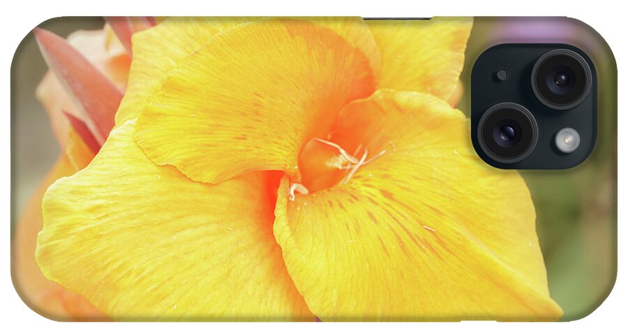 Canna Lily iPhone Case featuring the photograph Canna Lily Close-up by Nancy Gleason